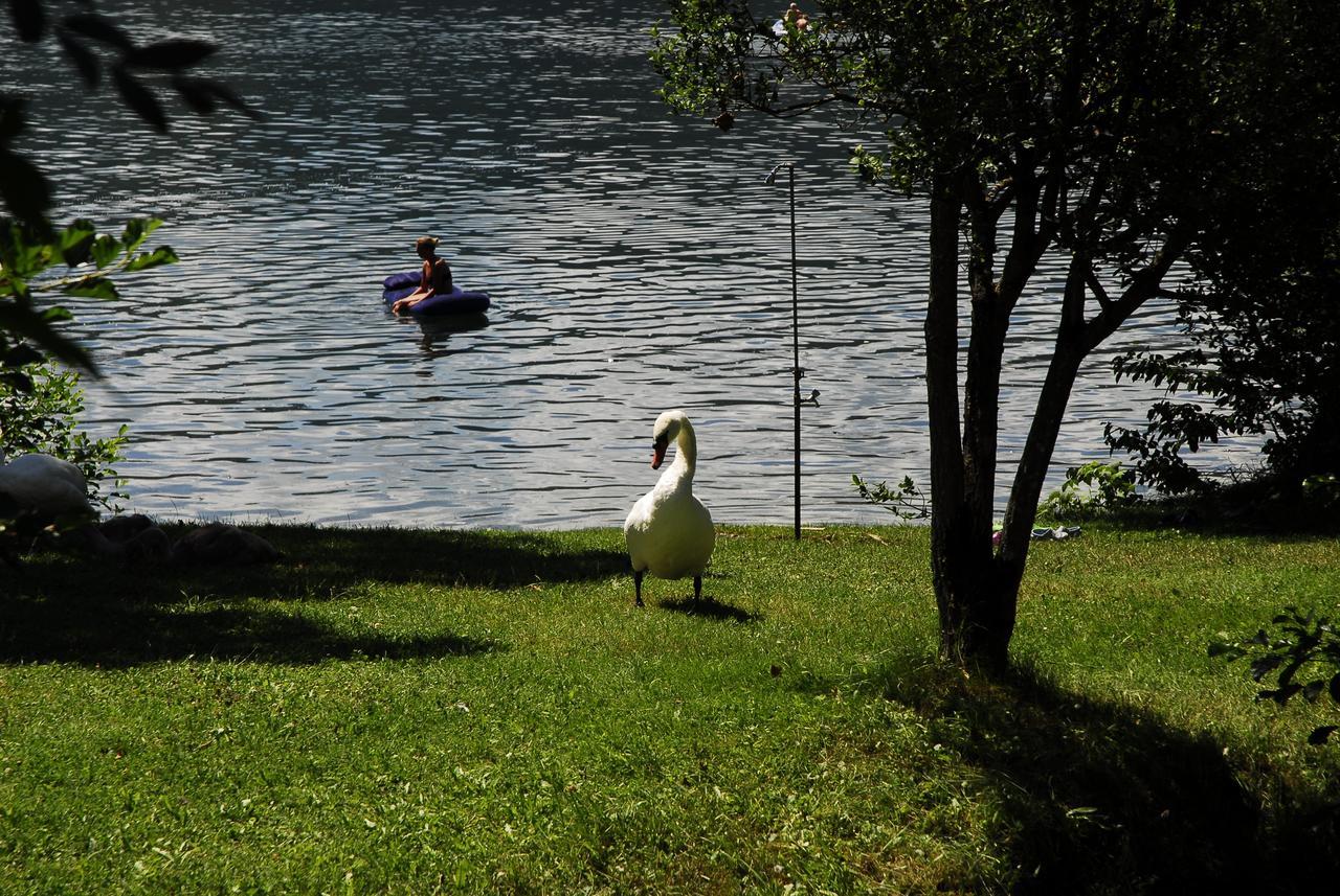 Camping Neubauer - Mobilheime Hotell Millstatt Exteriör bild