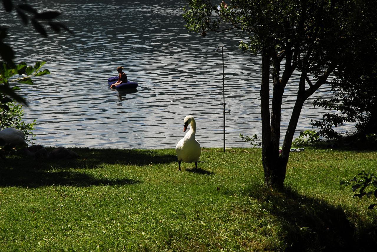 Camping Neubauer - Mobilheime Millstatt Exteriör bild